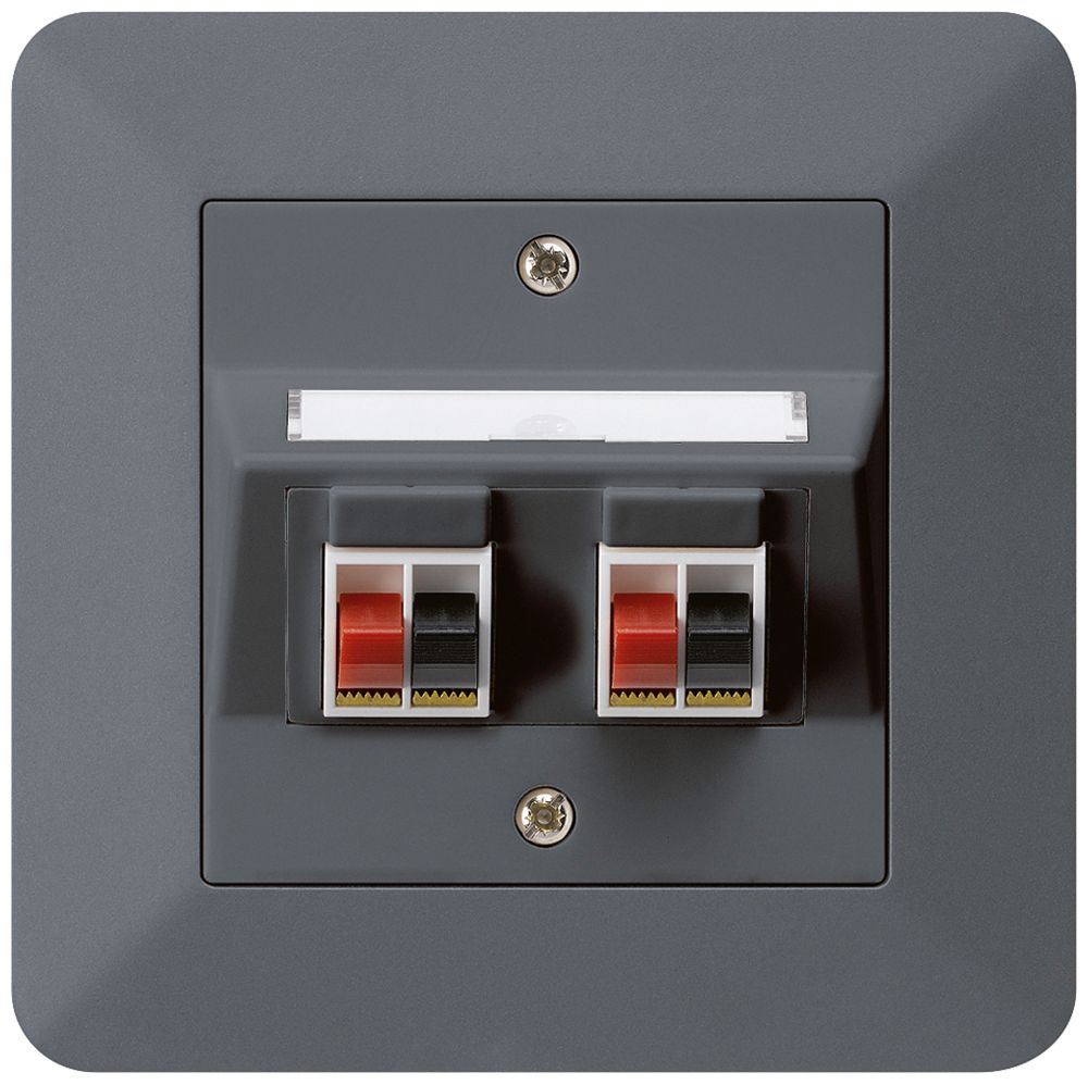 Prise ENC audio kallysto.trend 2× anthracite borne à étrier pour 2 haut-parleurs