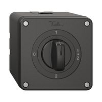 NAP-Drehschalter NEVO, 1/1 L, mit Drehgriff, KS, 0-1-1+2-2, schwarz