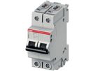 Disgiuntore SMISSLINE CLASSIC 2×10 D 10kA