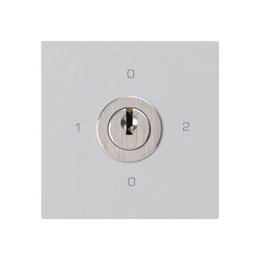 Intérieur interrupteur à clé kallysto 2/1L gris clair avec serrure Kaba 8