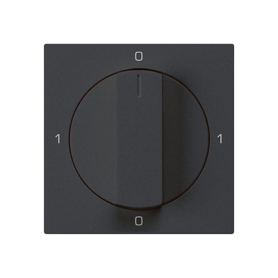 Einsatz zu Drehschalter kallysto 0/1L schwarz mit Drehgriff