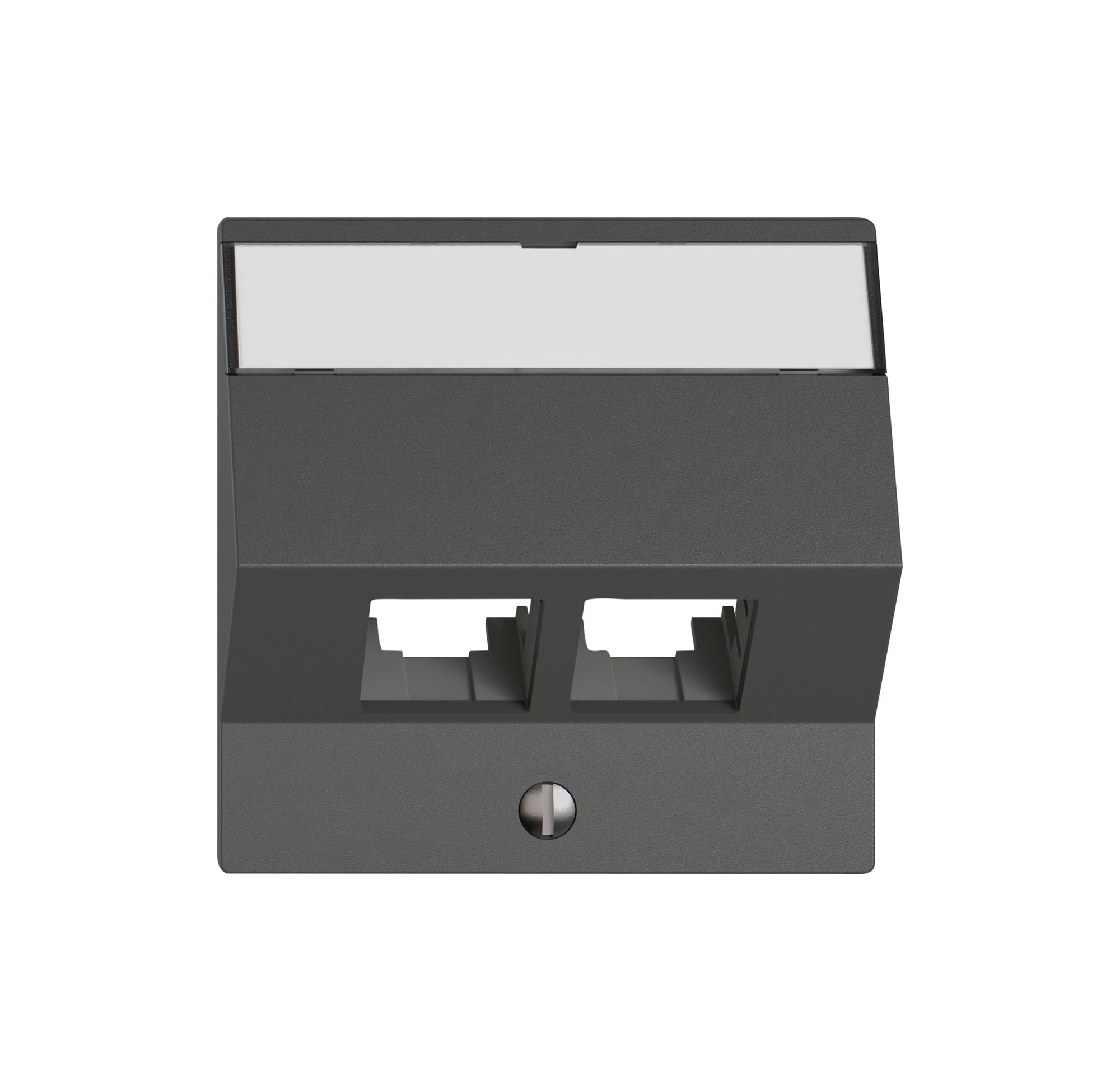 Montageset EDIZIO.liv EASYNET S-One SNAPFIX® schräg 2×RJ45 dgu