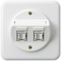 UP-Einsatz basico C Kat.6 2×RJ45/s Schrägauslass weiss