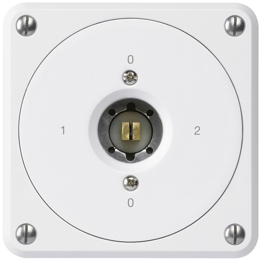 Interrupteur à clé carrée ENC robusto sans clapet 2/1P blanc combi