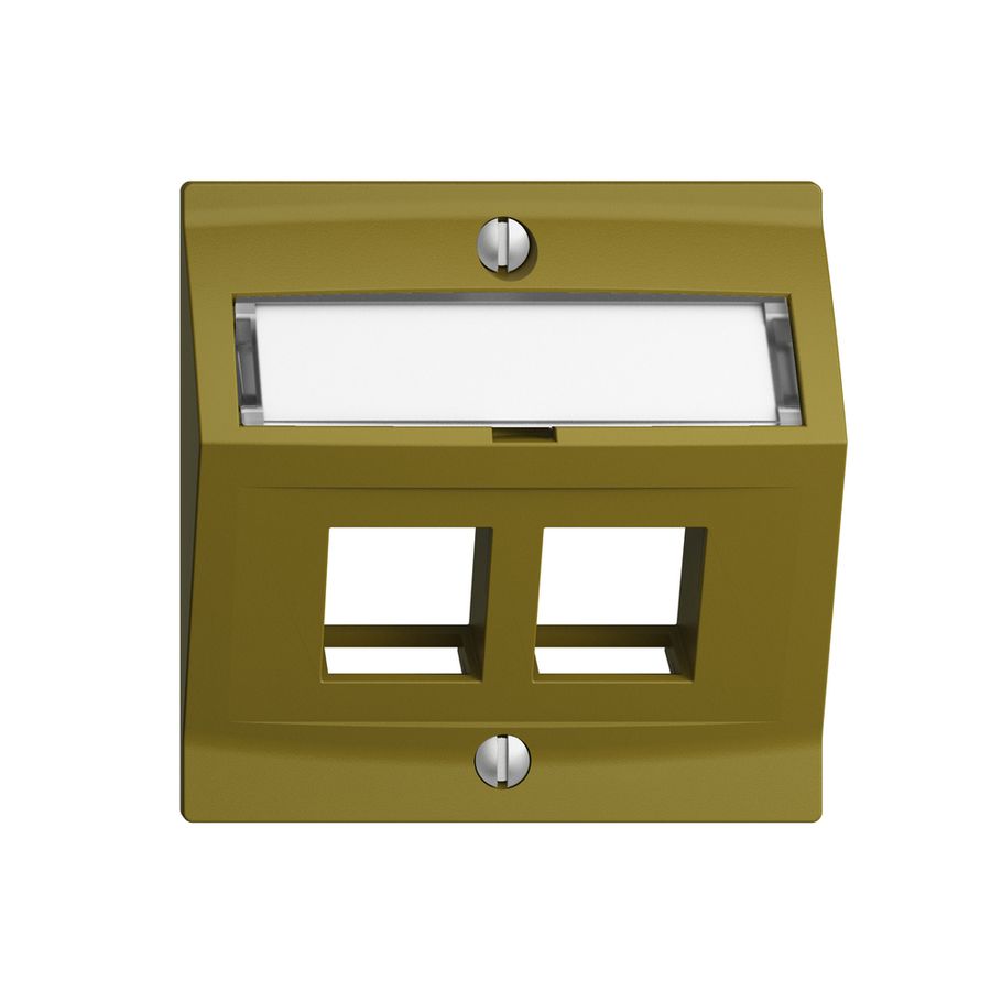 Kit de montage EDIZIOdue F, avec capot de sortie oblique, pour 2×Keystone, olive