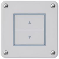 UP-Storentaster robusto IP55 grau mit 2 Funktionstasten
