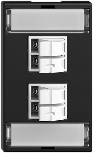 Presa audio INC 2×Feller FLF, c.kit dicitura&morsetto Push Type, ne