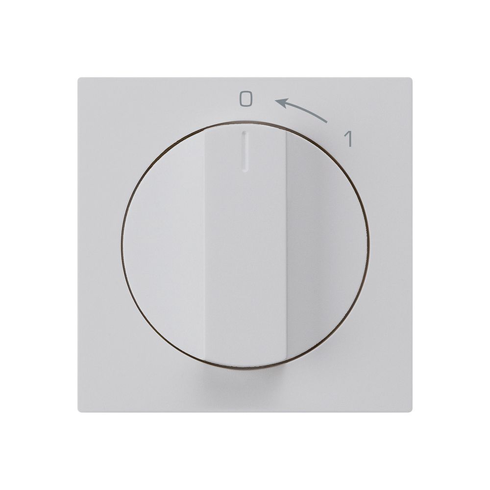 Schwenktaster 0<-1/2L hellgrau kallysto mit Drehgriff