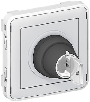 Drehschalter PLEXO I-0-II mit Sicherheitsschloss grau