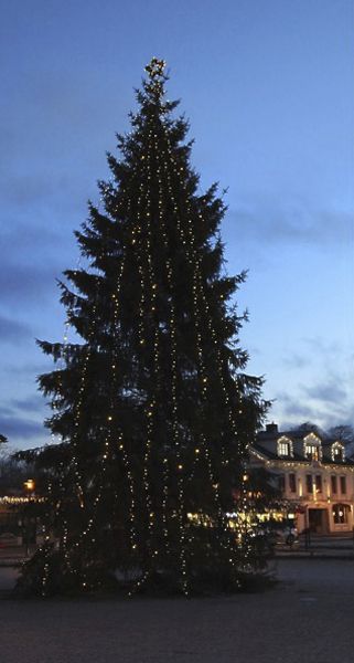 Ring-Verteiler System 24 Extra, schwarz, mit 5 Schraubabgängen