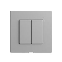 Nebenstelle 2K/2T zu Druckschalter Edue Wiser silver