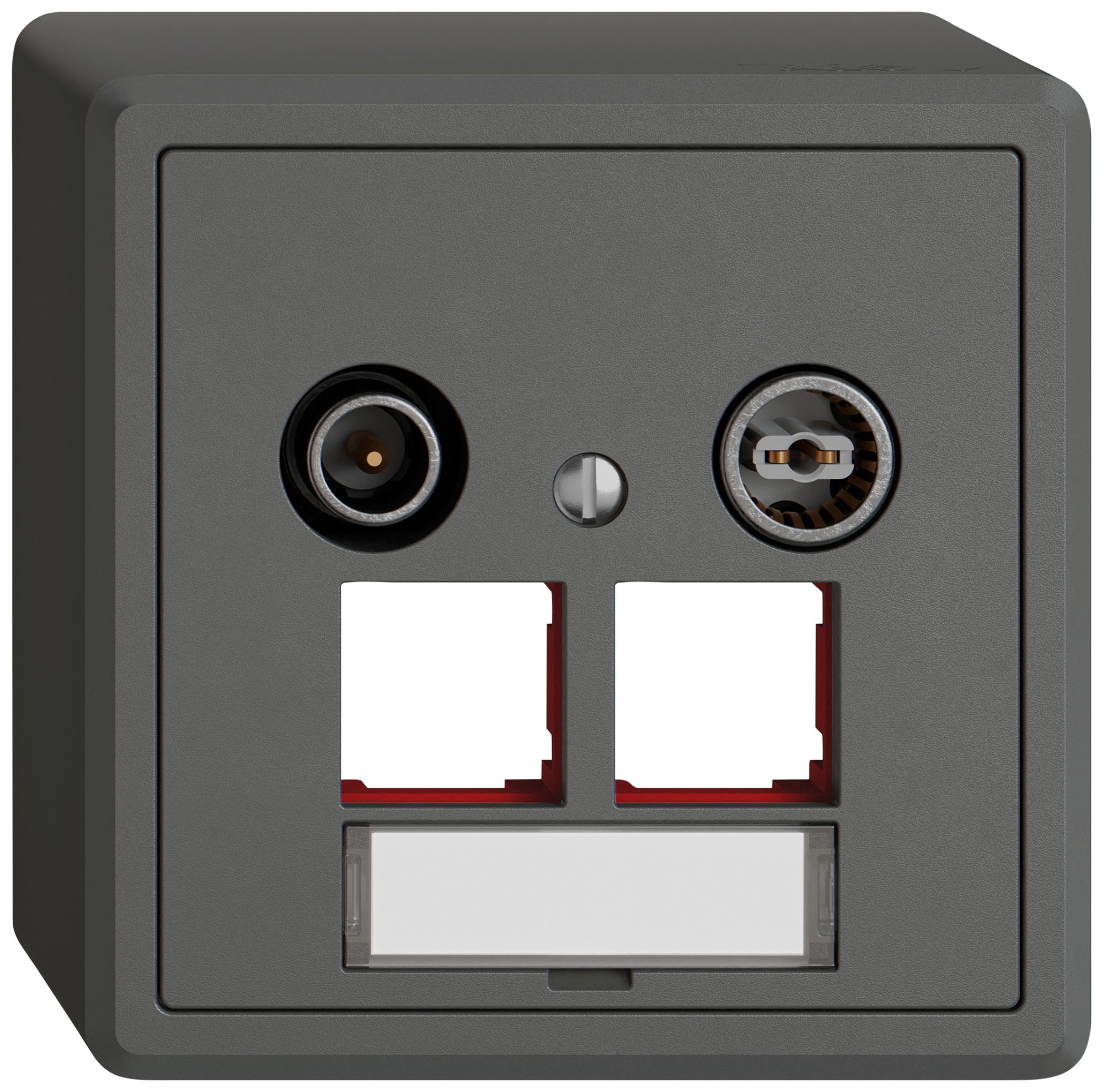 Presa multimedia AP TV-R EDIZIO.liv SNAPFIX® EASYNET p.2×RJ45 S-One 15dB grs