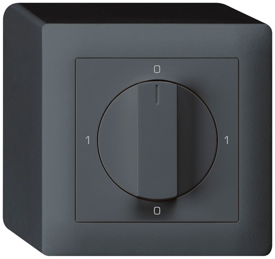 AP-Drehschalter kallysto 0/2L anthrazit mit Drehgriff