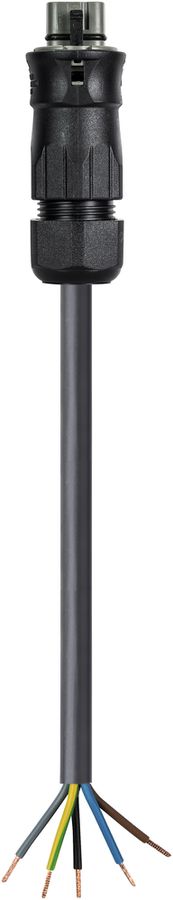 Cavo di allacciamento Wieland RST25I5KS-S 60S 30BG03 3m 5L 6mm² grigio cemento