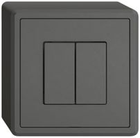 Station sec.interrupteur AP EDIZIO.liv Wiser SNAPFIX® 2 canaux 2 touches grf