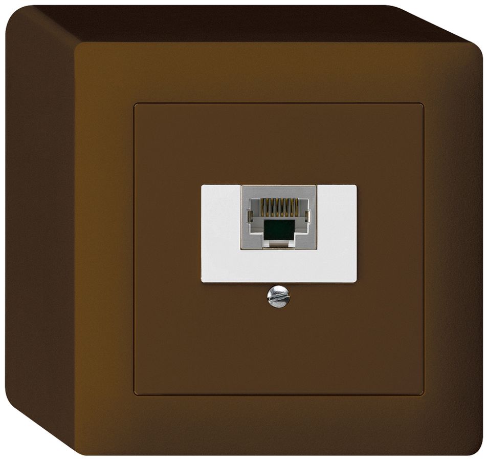 AP-Dose kallysto 1×RJ45s braun
