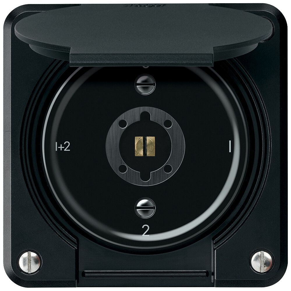 Interruttore a chiave robusto interruttore seriale 16A 250V 86×86mm nero