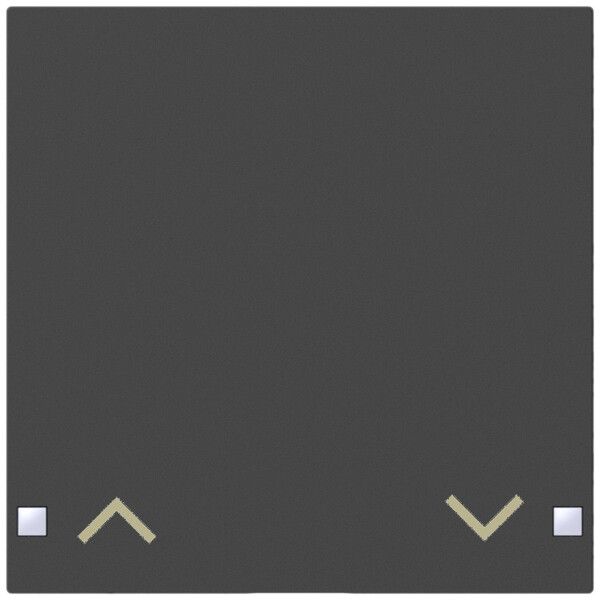 Tasto SIDUS 1/2v per sensore pulsante con freccia su/giu, antracite