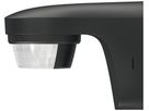 AP-Bewegungsmelder Theben theLuxa S180 schwarz