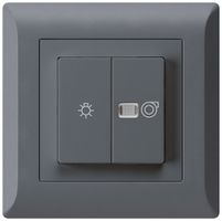 Interrupteur lumineux ENC kallysto.line anthracite 1/1L symbole lumineux+ventil.