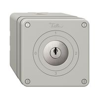 NAPU-Drehschalter NEVO, 5/1L, mit Schloss&2 Schlüsseln, KS, 0-1-2-3, lichtgrau