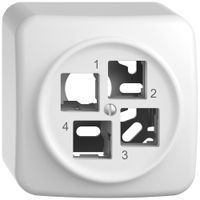 AP-Montageset STANDARDdue EASYNET S-One SNAPFIX® gerade für 4×RJ45 ws