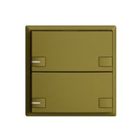 Poussoir ENC KNX 2× EDIZIOdue colore olive RGB avec LED