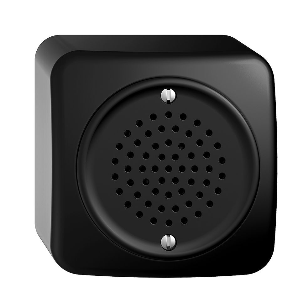 AP-Gong STANDARDdue 12VAC schwarz elektronisch