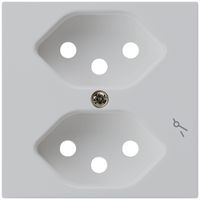 Frontplatte kallysto 2×T13/1 60×60 hellgrau für Steckdose 2×T13/1