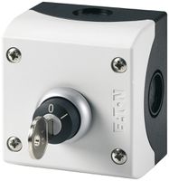 AP-Schlüsselschalter ETN 10A 1S/Ö grau