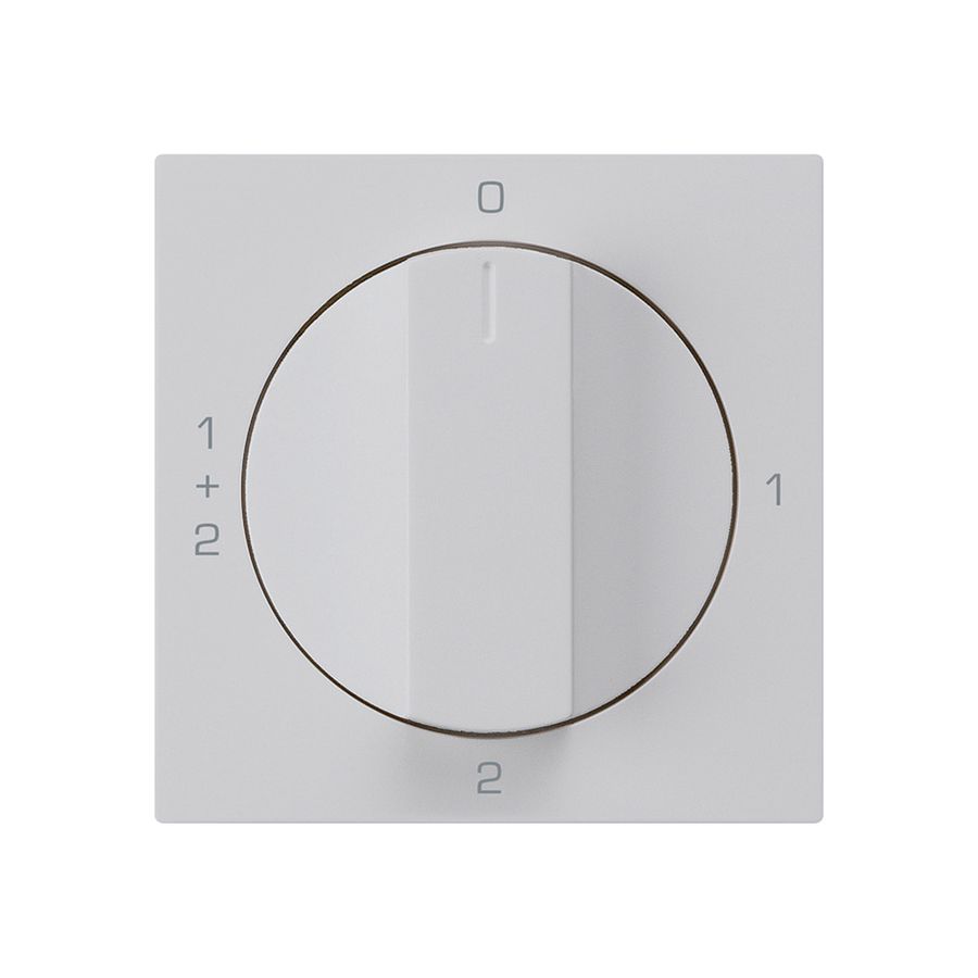 Einsatz zu Drehschalter kallysto 1/1L hellgrau mit Drehgriff