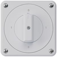 UP-Drehschalter robusto IP55 Schema 0/3P grau