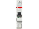 Disgiuntore SMISSLINE TP S 1×25A C 10kA