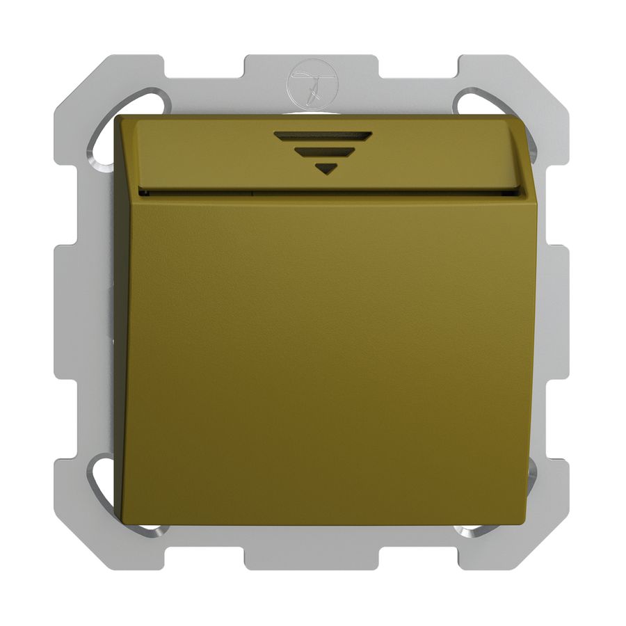 Interrupteur Hotelcard ENC 250VAC 1L EDIZIOdue olive