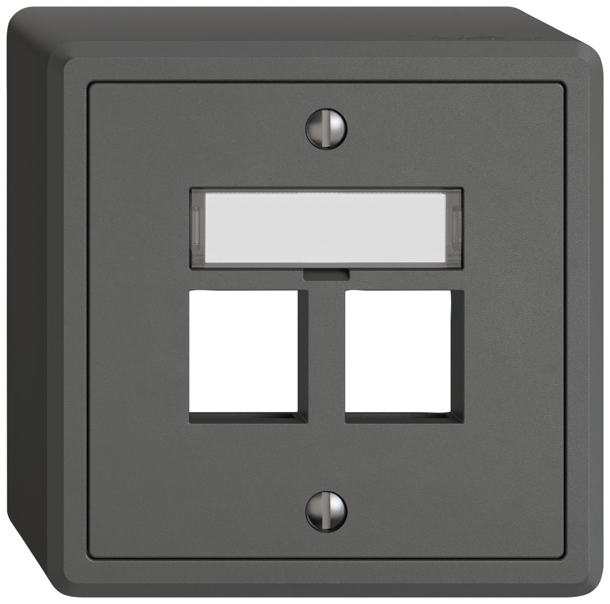 AP-Montageset EDIZIO.liv Keystone SNAPFIX® gerade 2× dgu