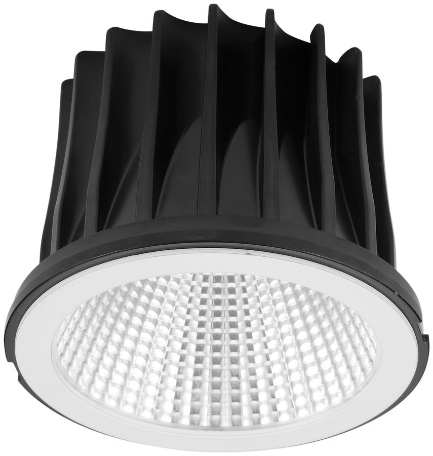 Modulo LED INS per LUDOSPOT 111, 230V 38W 3550lm 4000K 38° bianco