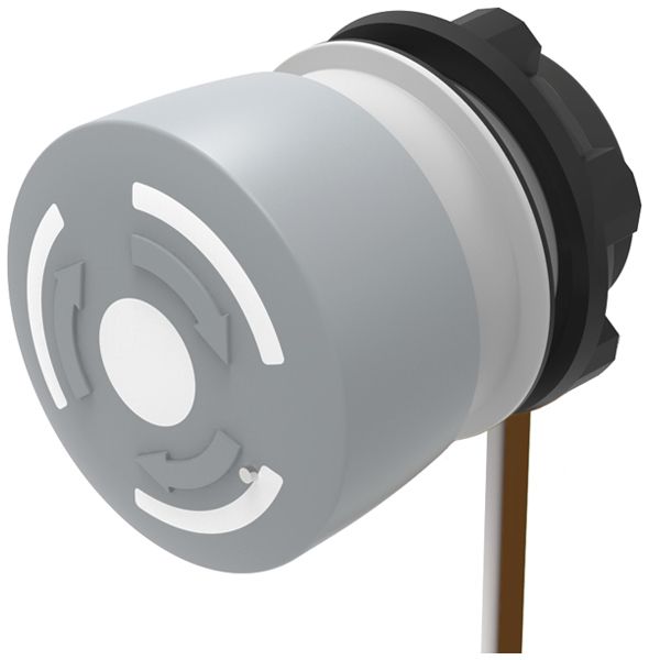 Poussoir à champignon EAO 84 1NC câble 300mm Ø22.3mm gris/noir