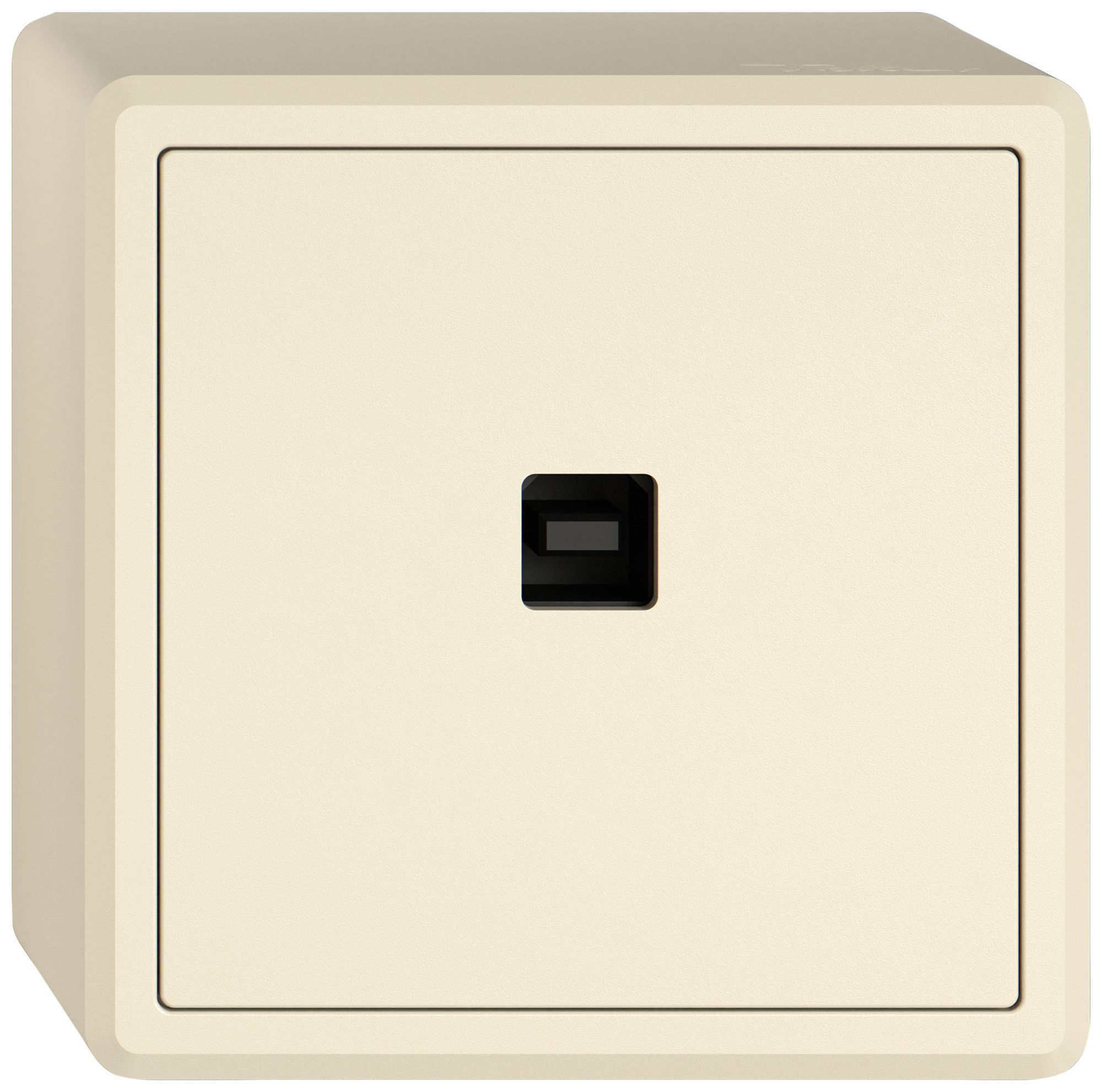 Interface de données USB KNX AP EDIZIO.liv SNAPFIX® prise USB type B cr