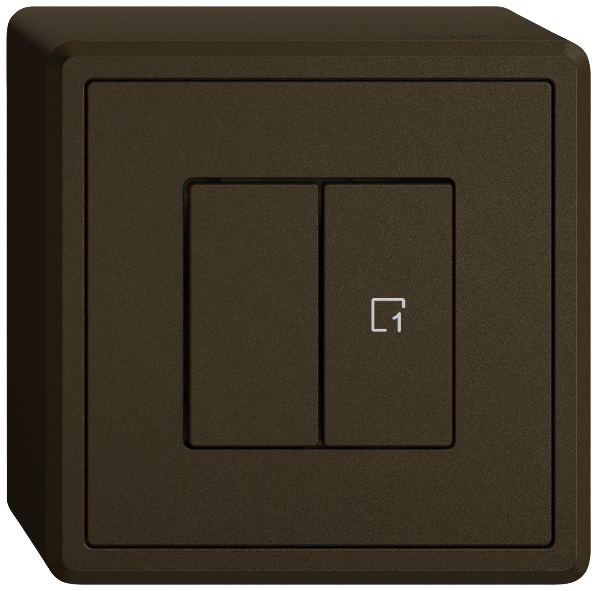 Station sec.interr.AP EDIZIO.liv Wiser SNAPFIX® 1 scène 2 touches WLAN br