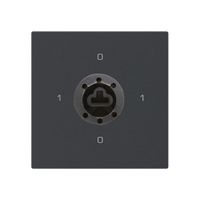 Einsatz zu Schlüsselschalter kallysto 0/1L sz f.Sicherheitsschloss o.Zylinder