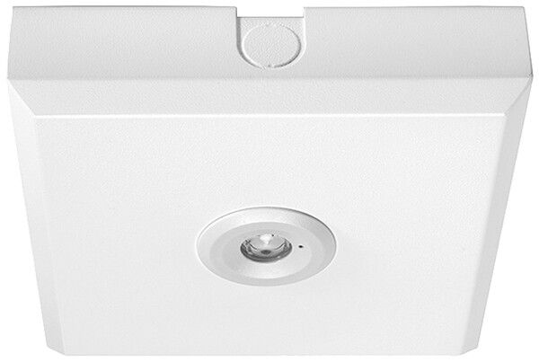 Notleuchte ESYLUX ELH C LED SC SM CORRIDOR weiss