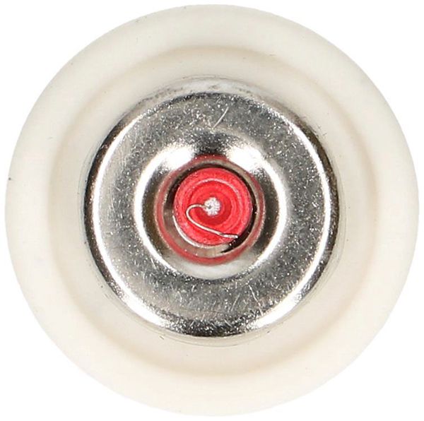 Fusibile D MAX HAURI DT-II 10A rosso 500V ritardo 50 KA gG Ø21×48mm 5 pezzi