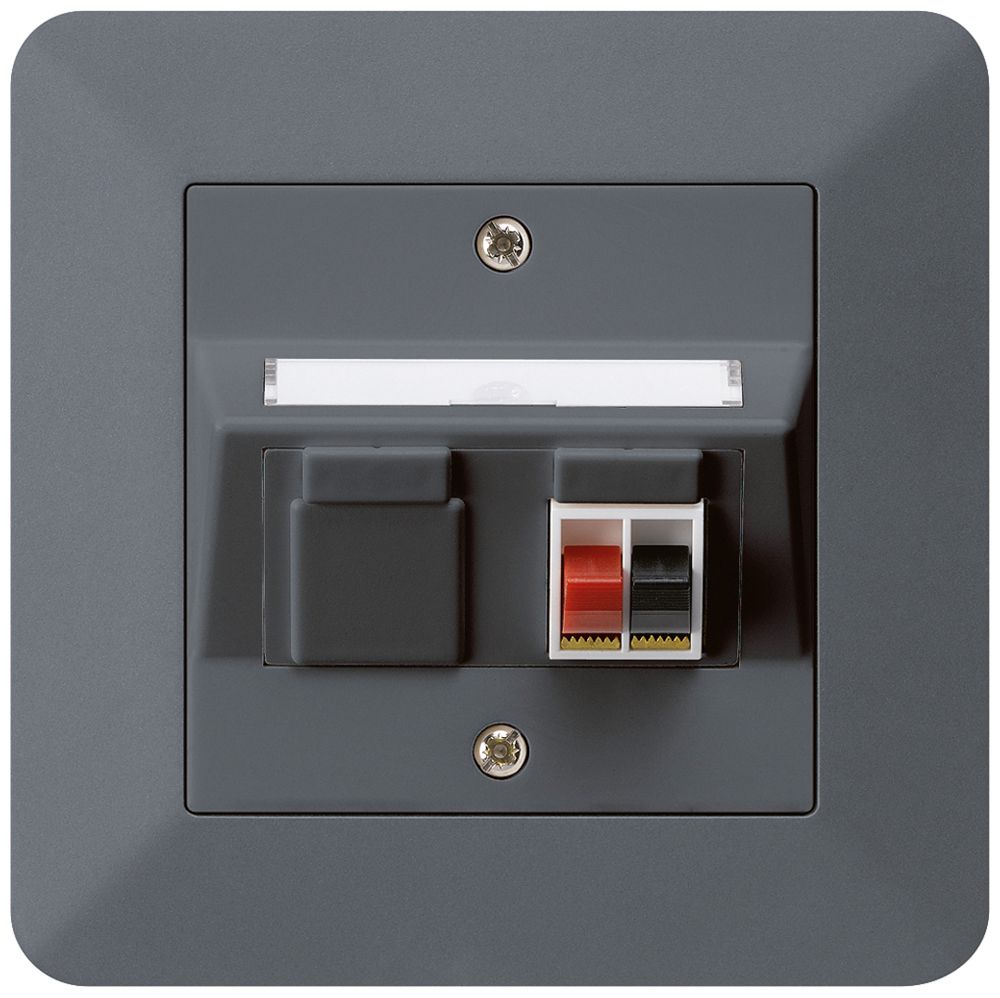 Prise ENC audio kallysto.trend 1×anthracite borne à étrier pour 1 haut-parleur