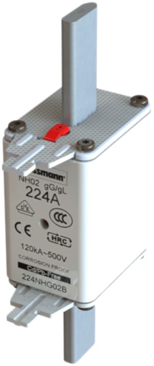 Fusibile Eaton gL/gG NH 02C 500V 100A