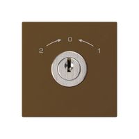 Schwenktaster 1->0<-2 braun kallysto mit Schloss Kaba 8