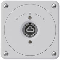 UP-Schlüsselschwenktaster robusto grau o.Deckel o.Zylinder Wechs.Kombination