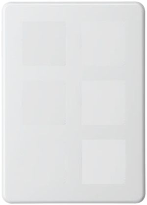 Plaque de rec. 2×3 206×146 blanc sans découpe