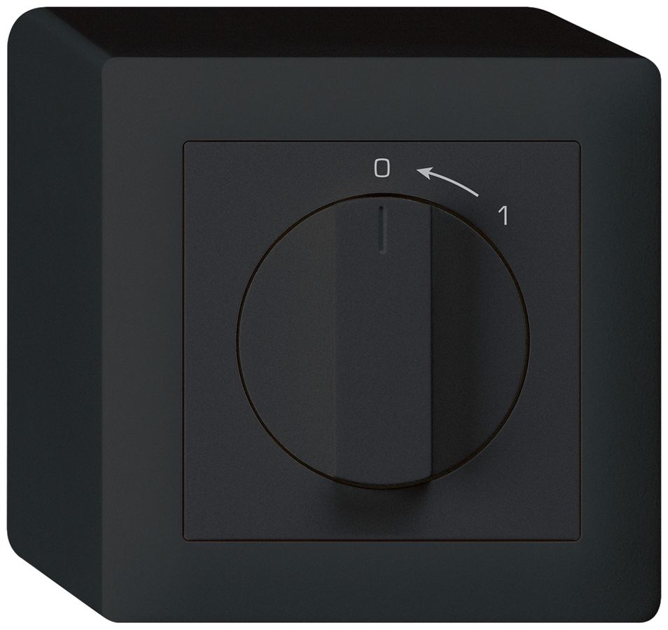 AP-Schwenktaster 0<-1/1L schwarz kallysto mit Drehgriff