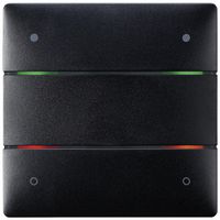 UP-Tastsensor Theben LUXORliving iON4, 4-fach, mit Temperatursensor, schwarz