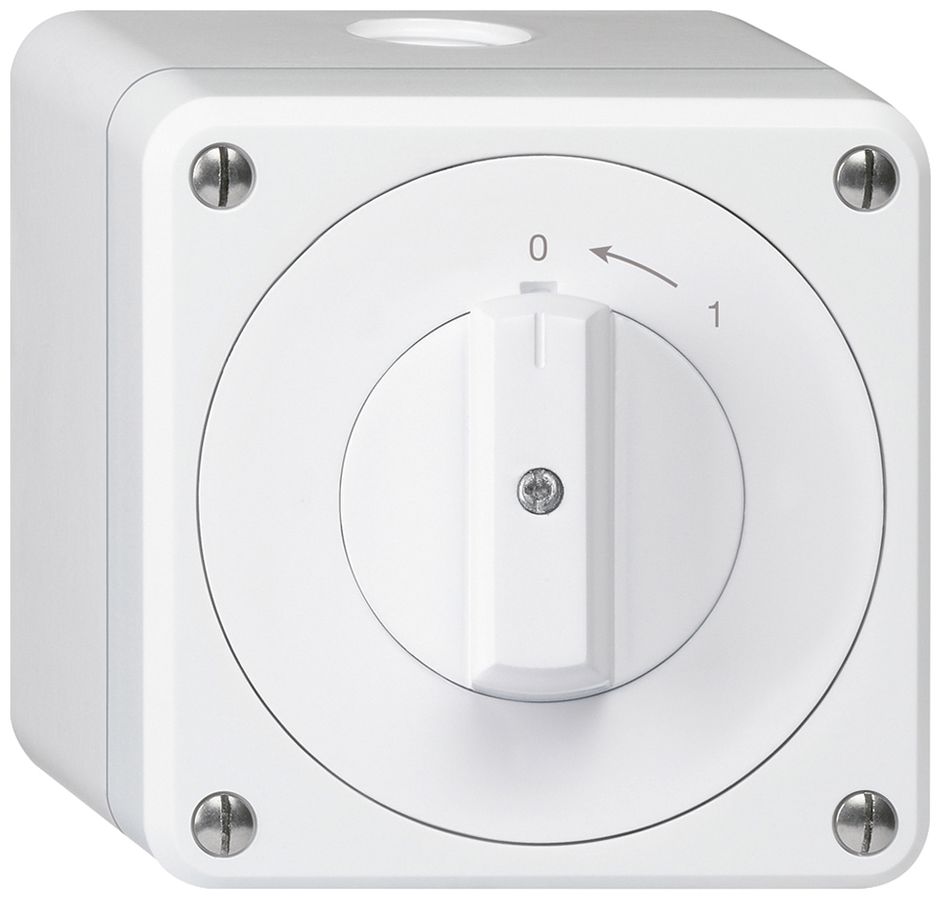 AP-Schwenktaster robusto IP55 weiss 1P